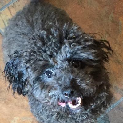 Profile Picture of RichardMorgan (@Morgan_Writer) on Twitter