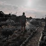 Profile Picture of Bob Armstrong (@allotment_meakstown_59) on Instagram