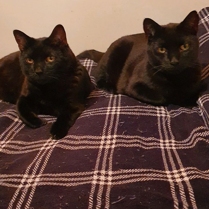 Richard Mahony195 - Tiktok Profile Picture of Richard Mahony195 (@richardmahony1) on Tiktok