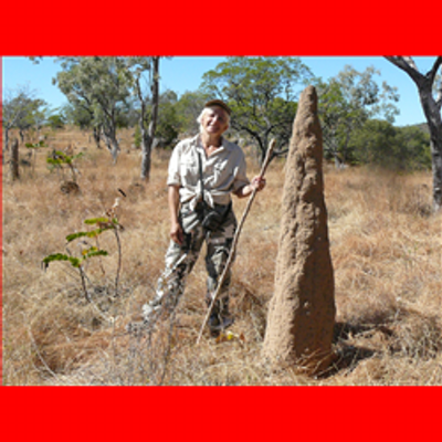 Profile Picture of Sabine Werner @ CoO (@Crystals_of_OZ) on Twitter