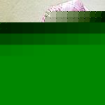 Profile Picture of Syed Manzoor Ahmed (@wsmanzoor.ahmed) on Myspace