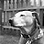 Profile Picture of Christophercoy (@christophercoy) on Flickr