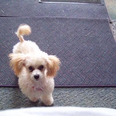 Profile Picture of Jeff Gabbard (@gabbard_jeff) on Twitter