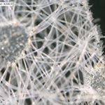 Profile Picture of John Croghan (@johnnylloydc) on Instagram