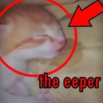 Profile Picture of Seth Halpin (@sethalpin) on Instagram