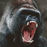 Profile Picture of Derek K. Brumfield I (@@user19277919) on Tiktok