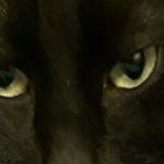 Profile Picture of Hans Schmid (@hans.schmid.7547) on Instagram