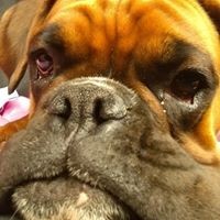 Profile Picture of Steven Carnegie (@steven-carnegie-2) on Quora