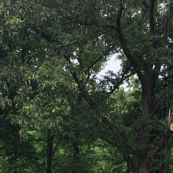 Profile Picture of James Raven (@jraven83) on Poshmark