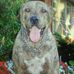 Profile Picture of Larry Patterson (@larry.patterson.9883) on Facebook