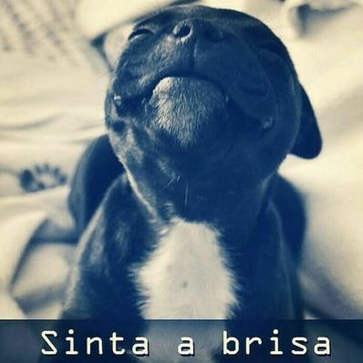 Profile Picture of Danilo Felipe (@Danilofelipe22) on Twitter