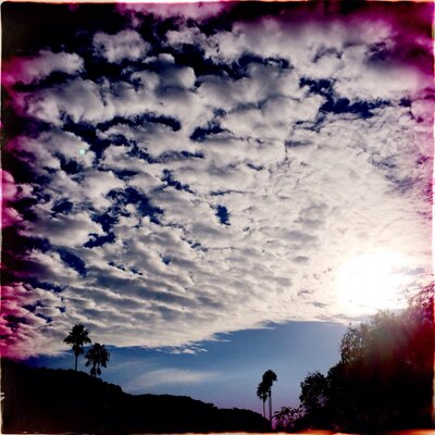 Profile Picture of Tara Butters🦋🦋🦋🦋 (@breadandbutters) on Twitter