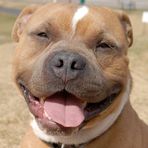 Profile Picture of Cindy Blachly (@cindy.blachlyHS2) on Facebook