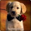 Profile Picture of Jennifer Chavajay (@Jennifer-Chavajay) on Facebook