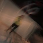 Profile Picture of Bedre kjent som Paul (@paulussreise) on Instagram