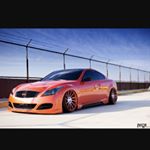 Profile Picture of Michael Kozak (@goldenpython31) on Instagram