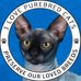 Profile Picture of Ann Bolling Hall (Annie's Sphynx Cattery) (@ann.hall66) on Facebook