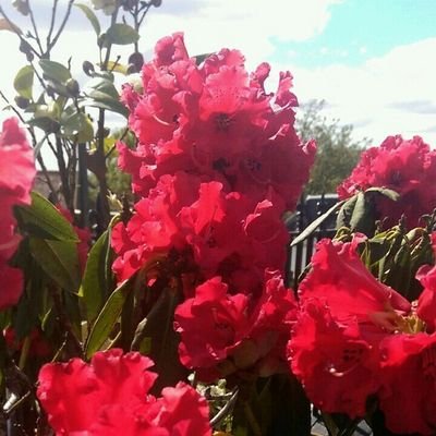 Profile Picture of Ursula James (@ursjam2) on Twitter