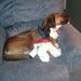 Profile Picture of Joel Cooley (@joel_cooley) on Pinterest