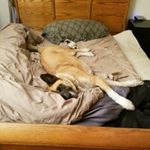 Profile Picture of andrew schiltz (@schiltzakita) on Instagram