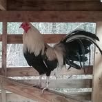 Profile Picture of Jonny Totherow (@jonny.totherow) on Facebook