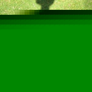 Profile Picture of Bernhard Ruf (@330726686) on Myspace