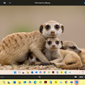 Profile Picture of Sirach TesfaYesus (@sirachtesfayesus4563) on Youtube