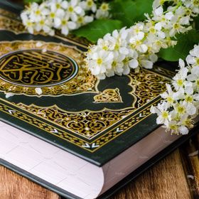 Profile Picture of Muhammad Ahmad (@ahmadbinubaid) on Pinterest