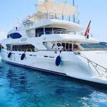 Profile Picture of Andreas Saalfeld (@andreassaalfeld) on Instagram