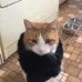Profile Picture of Frances Reilly (@frances.reilly.796) on Facebook