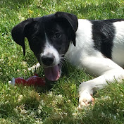 Profile Picture of Richard Hoffmann (@richardhoffmann1858) on Youtube