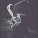 Profile Picture of Autumn Stark (@_starkafterdark) on Instagram
