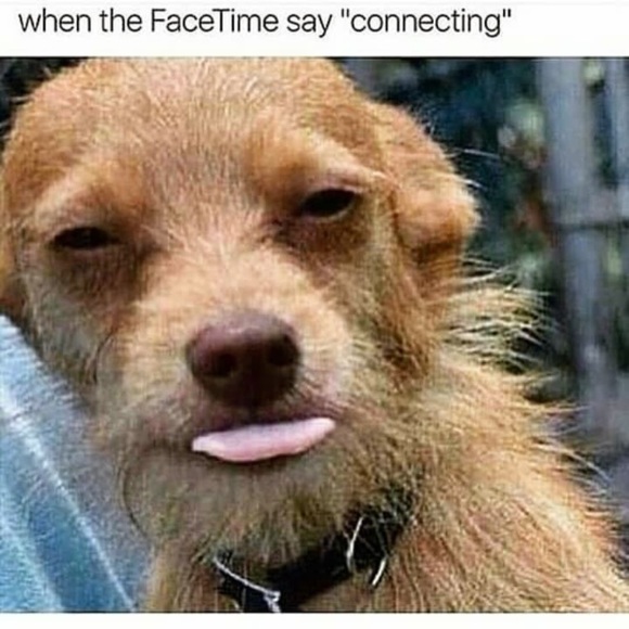 Otis Ben - Poshmark Profile Picture of Otis Ben (@snap2721) on Poshmark