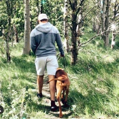 Profile Picture of Josh Foley (@JoshFoley95) on Twitter