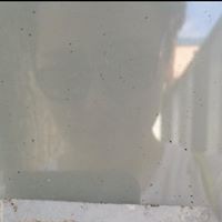 Profile Picture of Fredko Šemrinec (@fredko-Šemrinec) on Quora