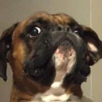 Profile Picture of Andrew Matusheski (@andrew-matusheski) on Quora