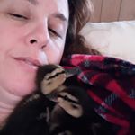 Profile Picture of Kim Holifield (@duck.mama.kimbo) on Instagram