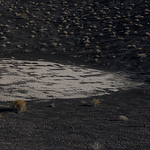 Profile Picture of Jeffrey Horton (@kirkwoodgap) on Flickr