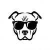 Profile Picture of Am Stuff (@@am_stuff) on Tiktok