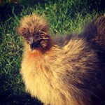 Profile Picture of Mark Skeen (@aprilsakiskater) on Instagram