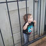 Profile Picture of Chris Scheurer (@chrisscheurer) on Instagram