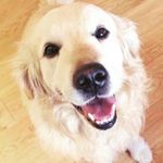 Profile Picture of Scott  Huang (@failureoflifelol) on Instagram