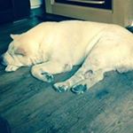 Profile Picture of Damien Obrien (@damien6593) on Instagram