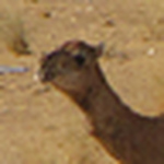 Profile Picture of Ida Perez (@idamarieee) on Flickr