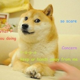 Profile Picture of Ian Cheung 0ff1cial (@I0ff1cial) on Twitter