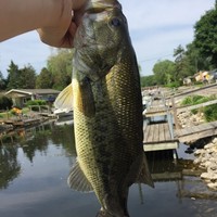 Profile Picture of Kyle Svachula (@kyle-svachula-1) on Quora