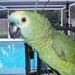 Profile Picture of Sharon Gacek (@disneykd) on Pinterest
