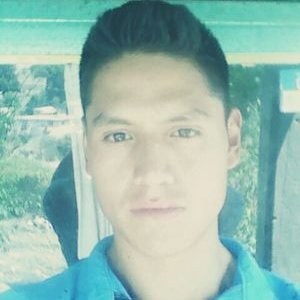 Profile Picture of Max Gamboa (@bladpapi) on Twitter