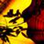 Profile Picture of Seth Hammond (@seth hammond photography) on Flickr