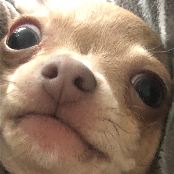 Samantha Buchite - Poshmark Profile Picture of Samantha Buchite (@sbuchite) on Poshmark